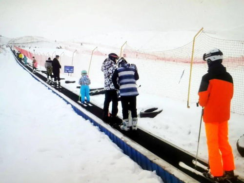 又到滑雪季 这样的那拉提国际滑雪场你不来么