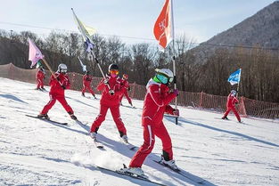 北大湖 壶 滑雪度假区2019 2020新雪季招聘正式开始 多个岗位,职等你来