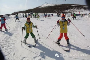 童军滑雪 3D科技冬令营报名