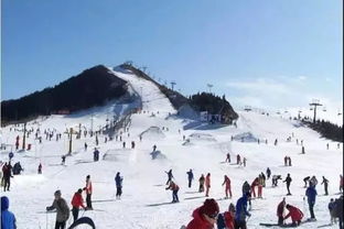 滑雪基础培训课丨冬天我们在雪场等您
