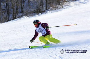 第二届中国大众滑雪技术大奖赛沈阳怪坡站圆满落幕